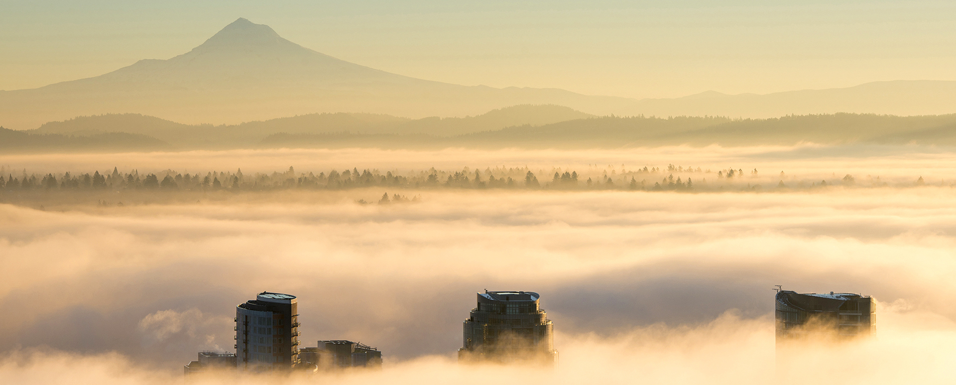 Image of Mt. Hood from OHSU